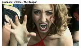 Cougar advert