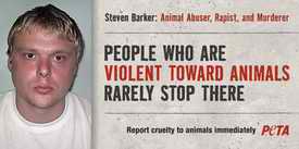 PETA advert