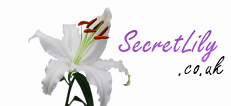 SecretLily