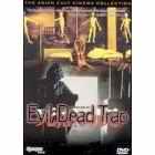Evil Dead Trap DVD cover