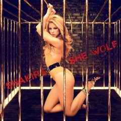 She Wolf Shakira
