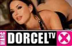 -dorcel tv logo