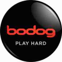 bodog logo