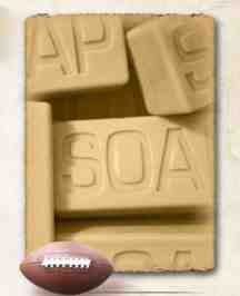 soap logo