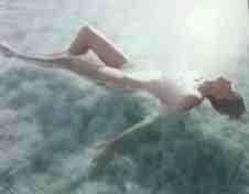 kenneth willardt floating