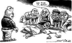 zuma cartoon