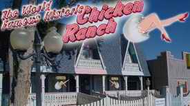Chicken Ranch