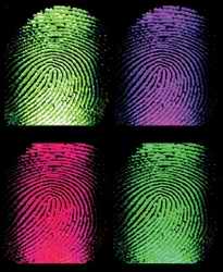 finger prints