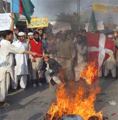 Burning the Danish flag