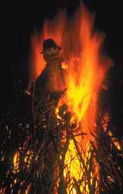 Guy Fawkes