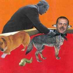 Collage with Turkey PM as dog