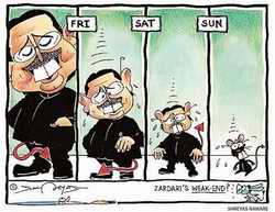 Zardari cartoon