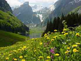 appenzell