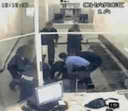 taser australia video