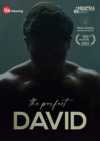 The Perfect David DVD